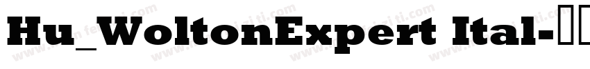 Hu_WoltonExpert Ital字体转换